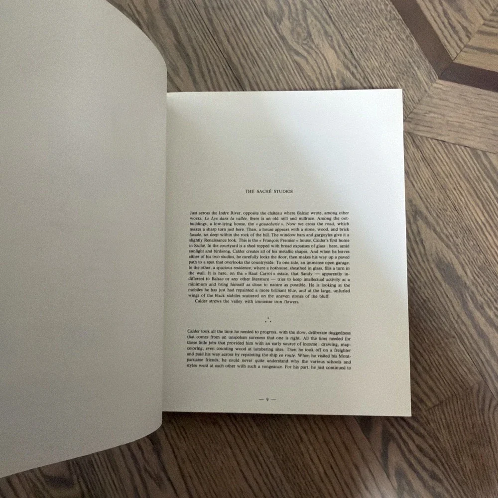 Calder (English) by Maurice BRUZEAU Abrams PB 1979